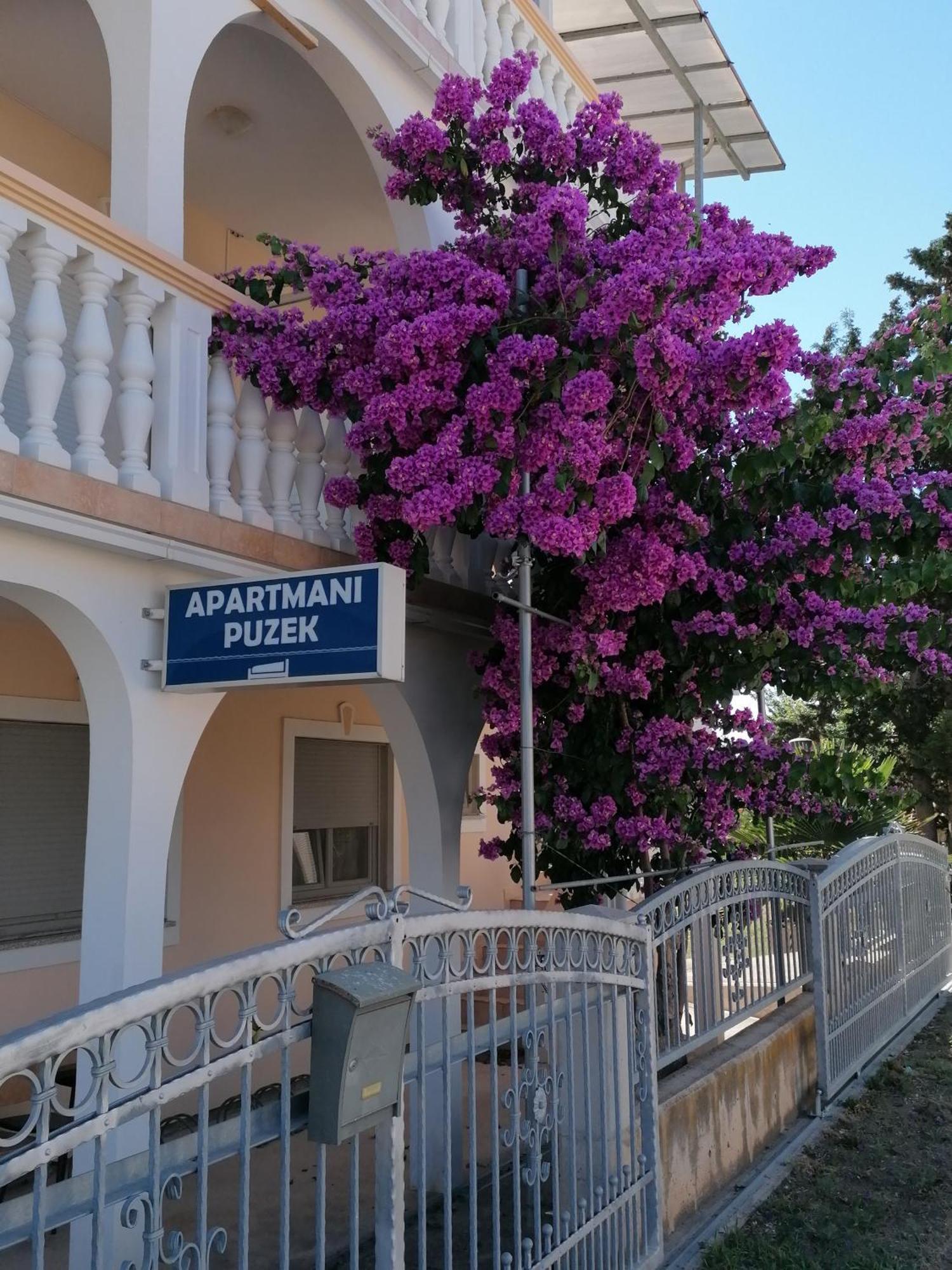 Apartmani Puzek 比比涅 外观 照片